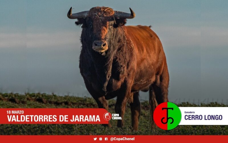 En fotos, los toros de Juan Luis Fraile y Cerro Longo para la tercera clasificatoria