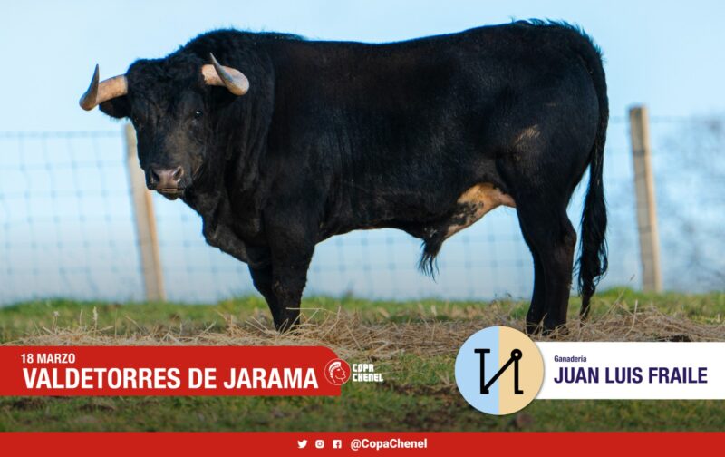 <strong>Juan Luis Fraile y Cerro Longo, «toros con materia prima para el triunfo»</strong>