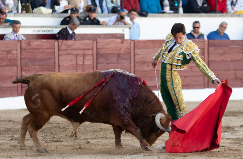 Juan del Álamo, el torero más contundente de la Copa Chenel, por Javier Lorenzo