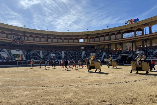 Se abre la licitación para las sedes que quieran albergar la Copa Chenel y el Circuito de Madrid