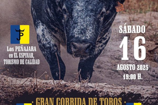 Sergio Rodríguez, triunfador de la Copa Chenel, anunciado en El Espinar