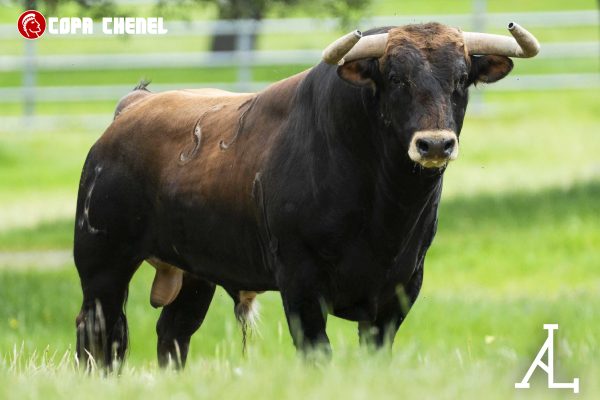 Antonio López Gibaja y Baltasar Ibán las ganaderías de Valdemoro