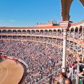 Los toros de El Capea y Carmen Lorenzo se lidiarán en la final de la Copa Chenel el próximo 30 de julio en Las Ventas