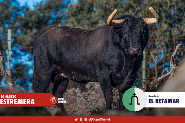 Los toros de El Retamar y Hermanos Cambronell para Estremera