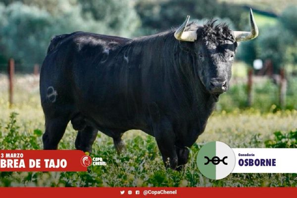 Los toros de El Estoque y Osborne para Brea de Tajo