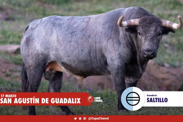 Los toros de Saltillo y Montealto para San Agustín del Guadalix