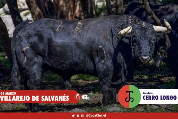 Los toros de Cerro Longo y Castillejo de Huebra para Villarejo de Salvanés