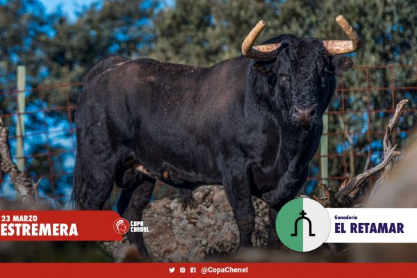 Los toros de El Retamar y Hermanos Cambronell para Estremera