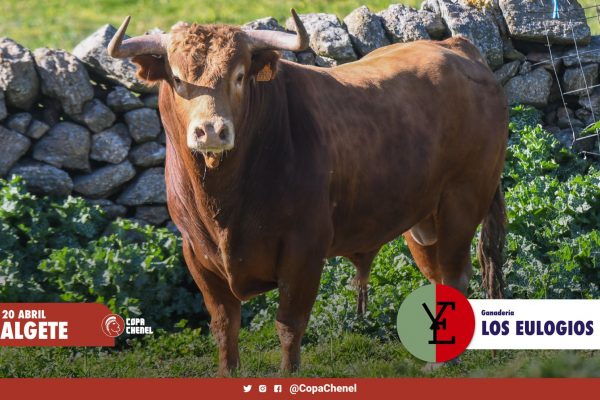 Toros de Los Eulogios y Monte La Ermita para Algete