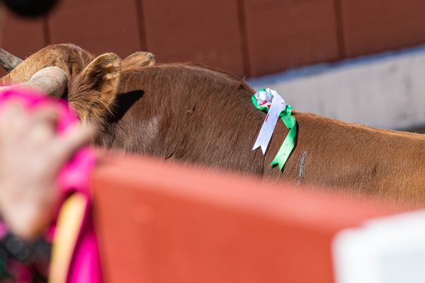 El Retamar sustituye a Las Monjas en el festejo del día 19 en Valdilecha