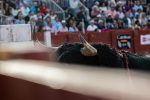 Valdefresno sustituye a Antonio Palla en la segunda fase de la Copa Chenel