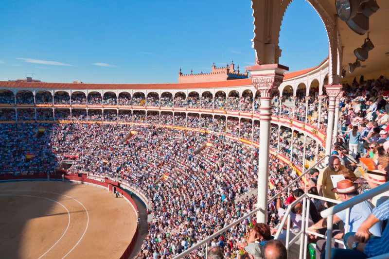 Los toros de El Capea y Carmen Lorenzo se lidiarán en la final de la Copa Chenel el próximo 30 de julio en Las Ventas