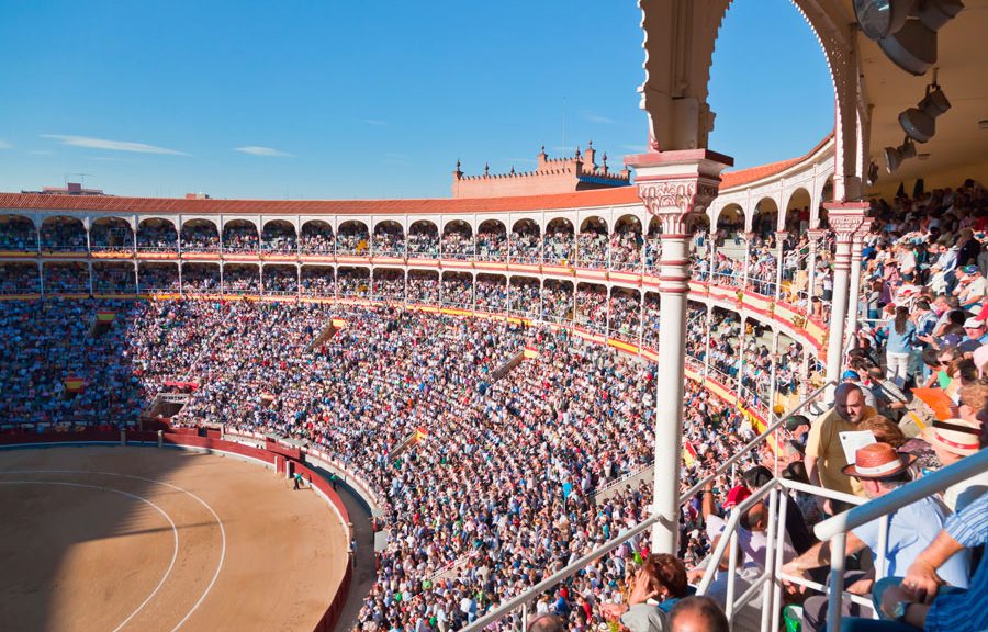 Los toros de El Capea y Carmen Lorenzo se lidiarán en la final de la Copa Chenel el próximo 30 de julio en Las Ventas