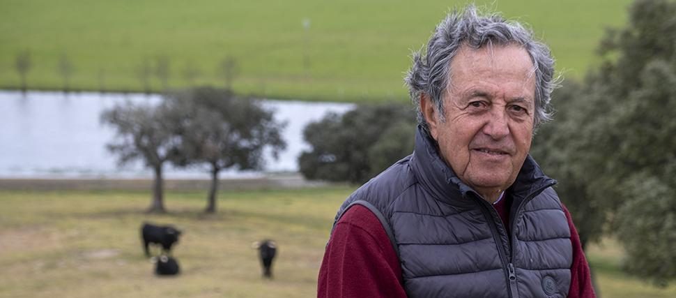 El Legado Ganadero de El Capea: De Murube a las Ventas