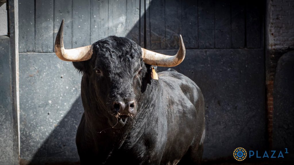 “Ladrillero”, de El Capea, abrirá la gran final de la Copa Chenel 2026 hoy en Las Ventas